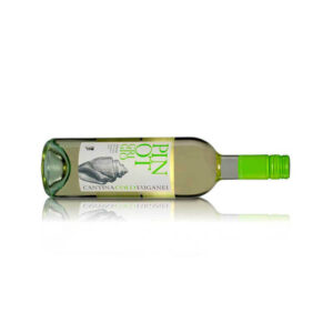 Cantina Colli Euganei Pinot Grigio IGT