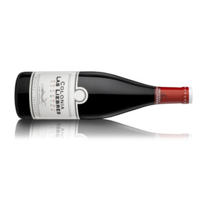 Altos Las Hormigas Colonia Las Liebres Bonarda